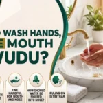 How to Wash Hands, Rinse Mouth and Nose in Wudu? Sunnah Method of Washing Hands, Rinsing Mouth and Nose, One Handful for Both, Sniffing Water, and Ruling on Istinthar – AhsaanHub